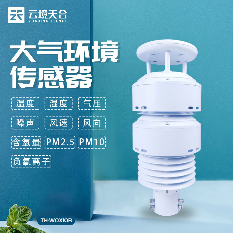 山東天合負(fù)氧離子傳感器是什么