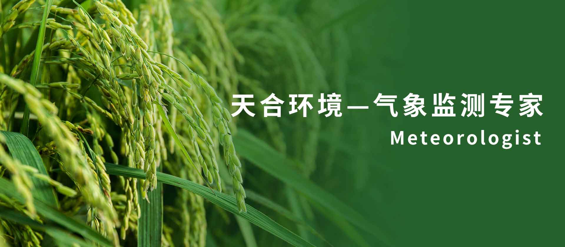 氣象傳感器廠(chǎng)家